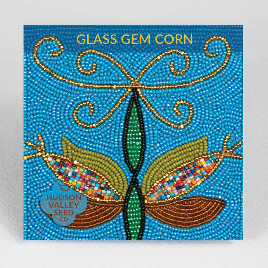 HV Glass Gem Corn